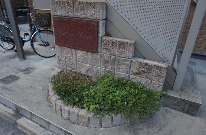 ボーナ コム