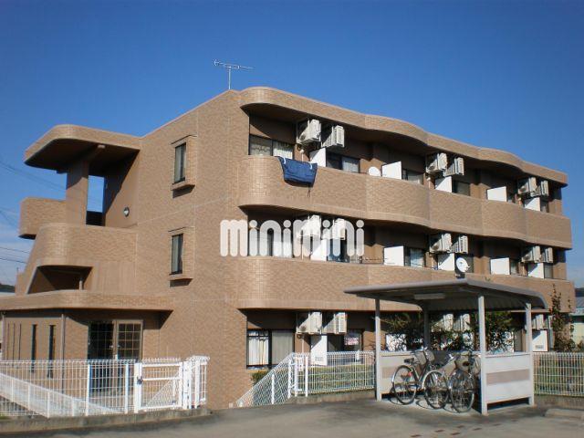 マメールロア