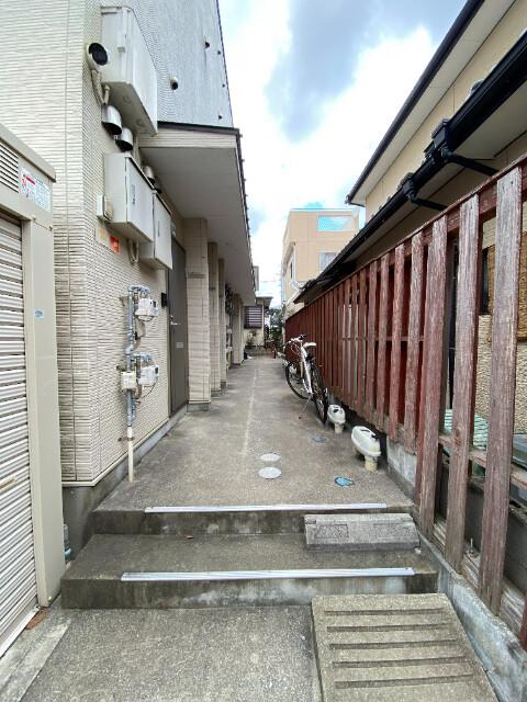 カンステレイションIV