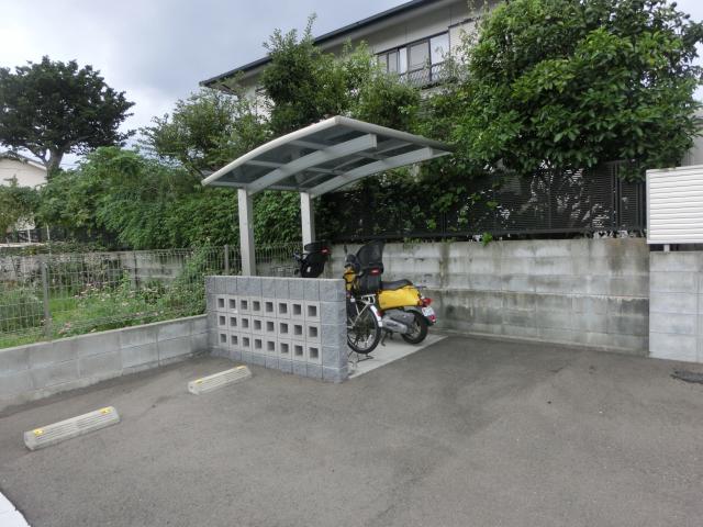カメリア