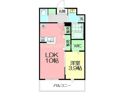 メゾン イナモトII(1LDK/2階)の間取り写真
