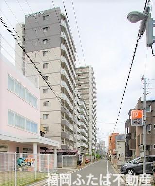 ネストピア薬院
