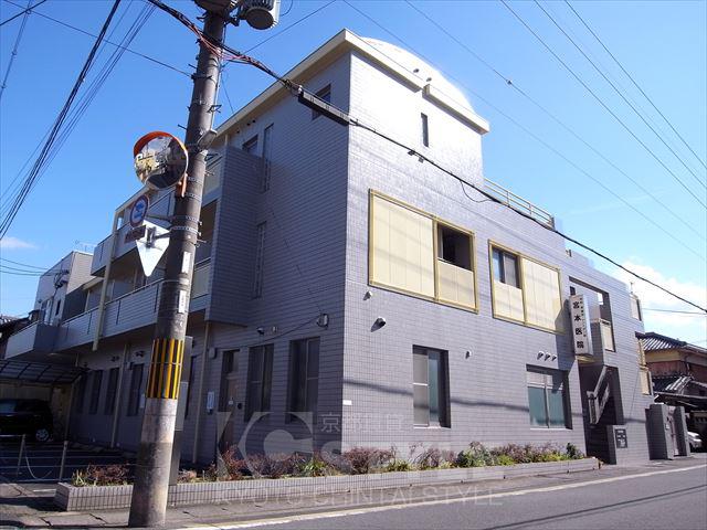 NEXTA桂