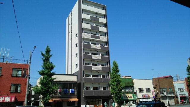 ベラ セラータ