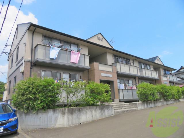 DIAS・FONTANA