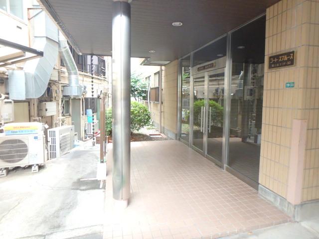コートスプルース