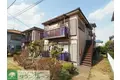 エバーグリーン