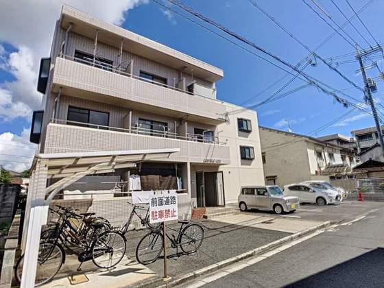 ラウファレ エイエスエイ