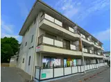 マエストーソ花田