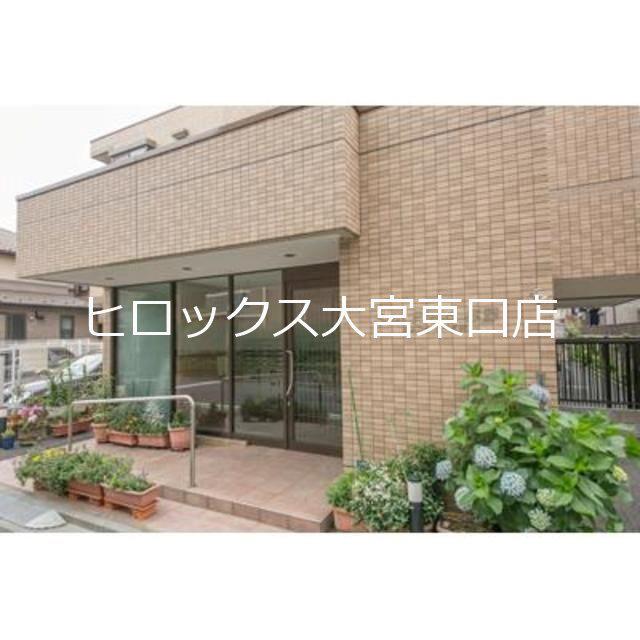 SUN FIELD与野