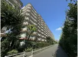 ライオンズマンション調布