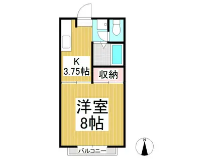 エイペックYTA棟(1K/1階)の間取り写真