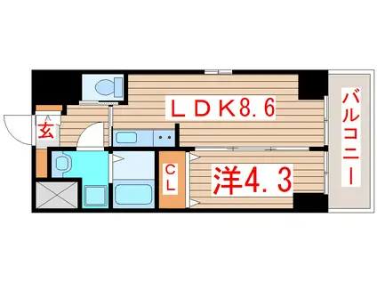プ ラ ン ド ビ ル 本 町 II(1LDK/5階)の間取り写真