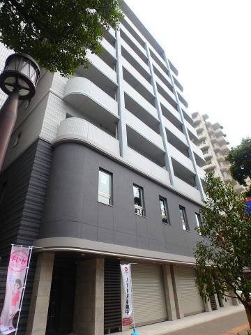 D FOREST 甲南