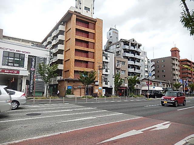 ステラ向野