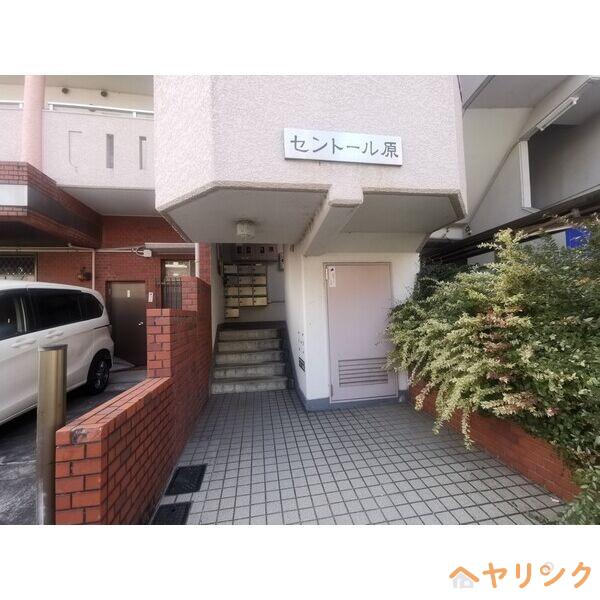 セントール原