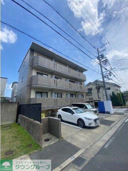 サンシャイン白菊