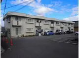 エルダー佐々木