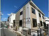 オキザリス