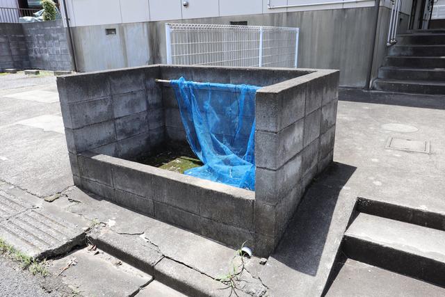 アス新取手