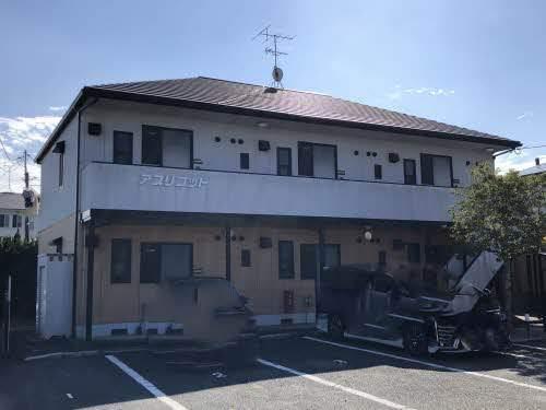 アプリコット