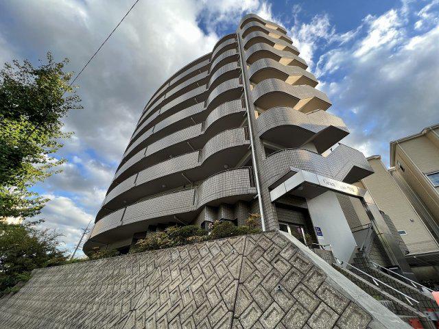 GRANPINO柴原