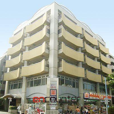 カーサクロヤナギ