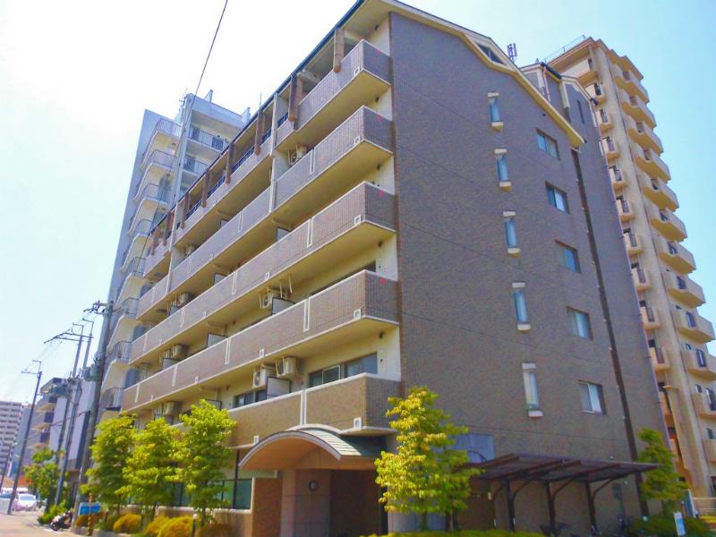 メルベーユ杉