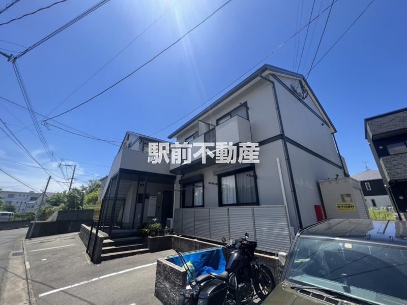 デュマン石井