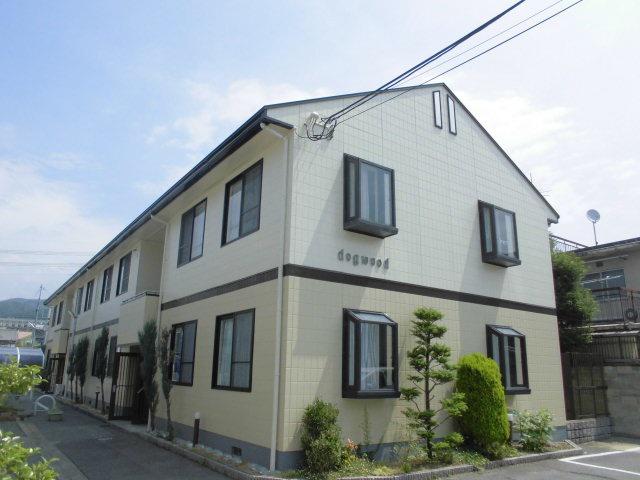 ドッグウッド