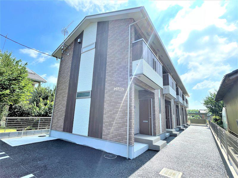 LUPINUS TERRACE