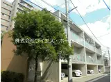 東京メトロ丸ノ内線 新中野駅 徒歩2分 3階建 築24年
