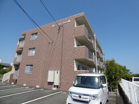 ビューしじみの森