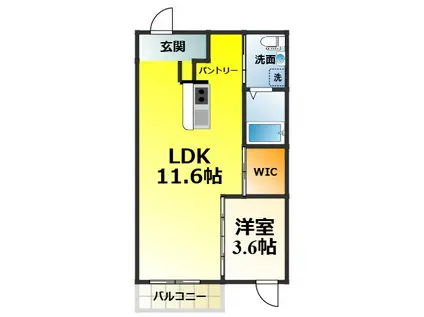 ステイザテラス和泉中央(1LDK/2階)の間取り写真
