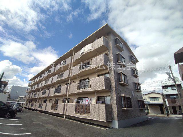 胡蝶羽根井