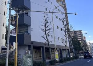 MAISON HOSOYAMA メゾンホソヤマ
