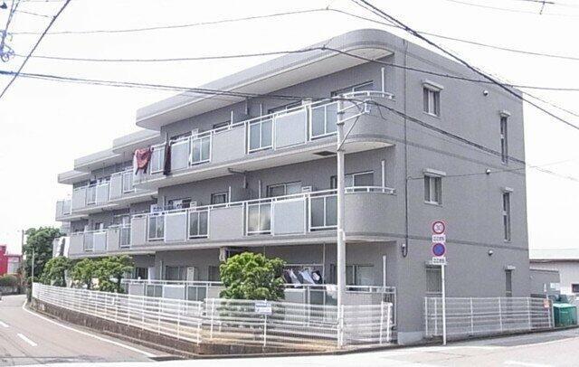 アムールキタイ