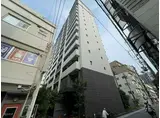 QUINTET NAMBA