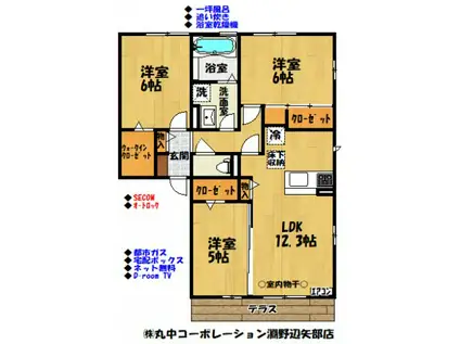 BLOOMING SQUARE2(3LDK/1階)の間取り写真