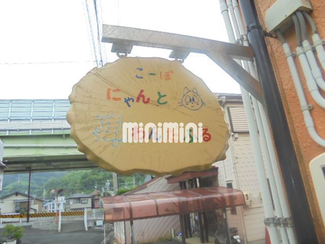 コーポにゃんとわんだふる