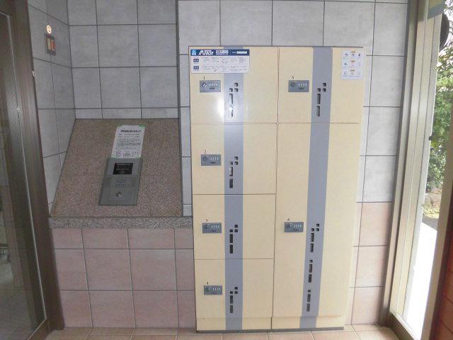 エルシード