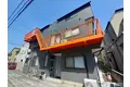 モンステラ菊名
