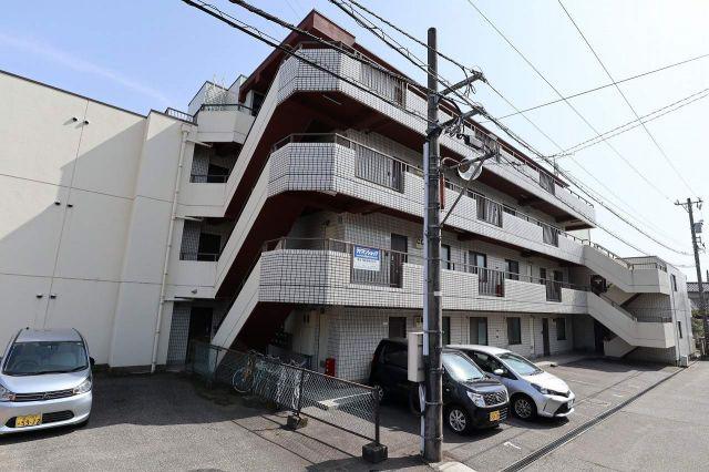 ライトクローバー