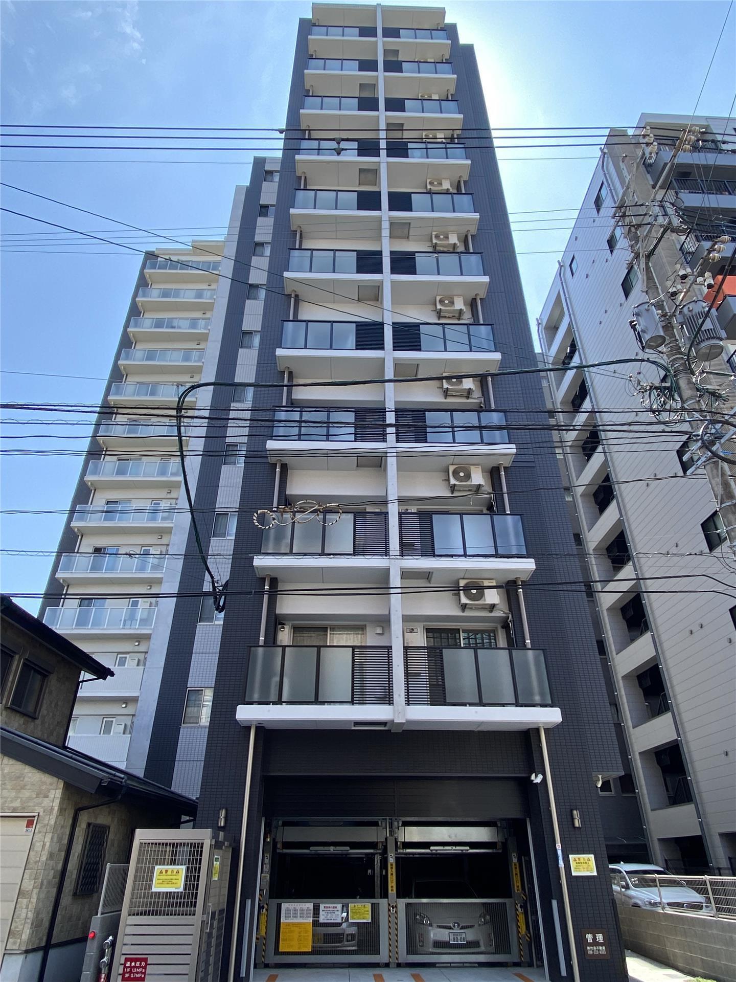ステラ11