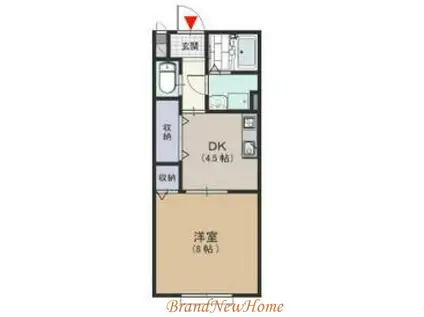 ヒルズシンシアII(1DK/2階)の間取り写真