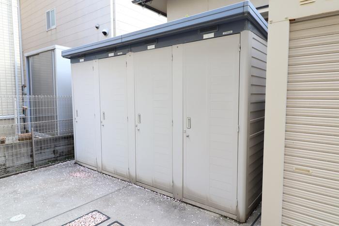 アサケラソス