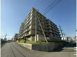 ドミ中屋