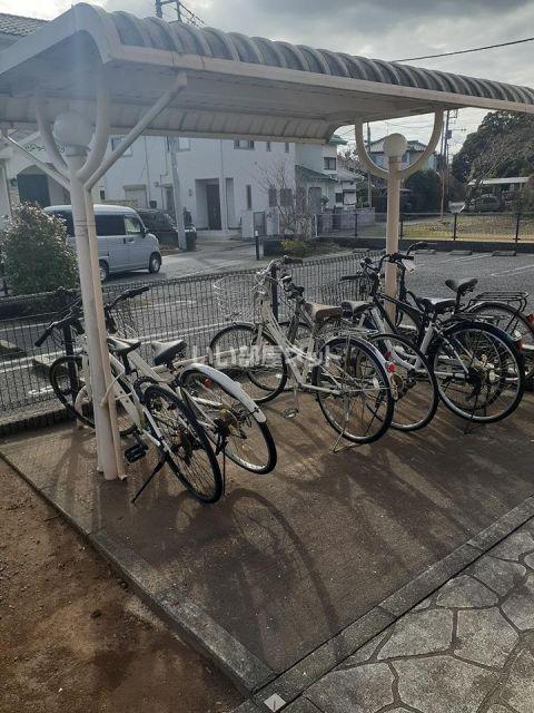 プラムフィールドC