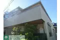 パーシモンバーチ