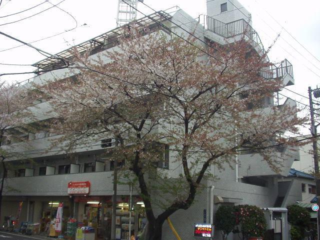 ベアーズマンション